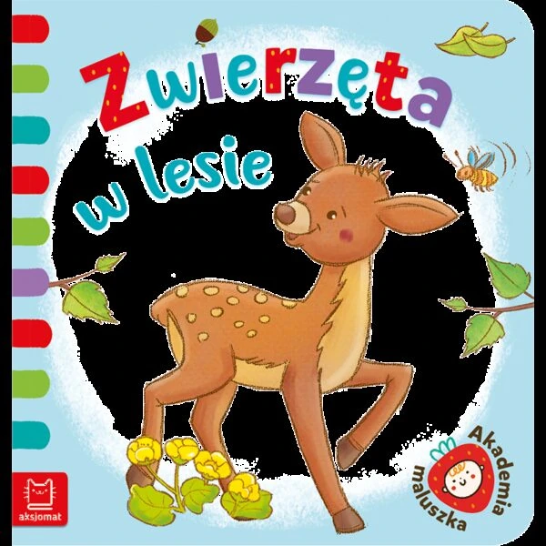 Zwierzęta w lesie Książki/Obrazkowe